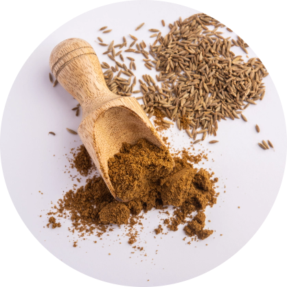 cumin-seeds-dust-jeera-powder-indian-spices