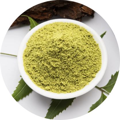 medicinal-ayurvedic-azadirachta-indica-neem-leaves-mortar-pestle-with-neem-paste-juice-twigs-powder-oil-selective-focus